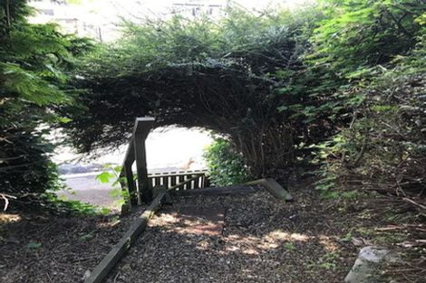 Photo of property in 6 Haig Street, Mornington, Dunedin, 9011