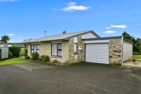 Photo of property in 1/12 Buchanan Street, Matamata, 3400