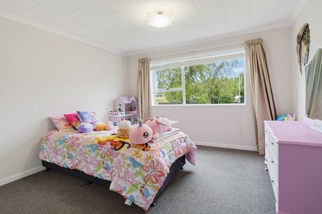 Photo of property in 105 Oxford Street, Ashhurst, 4810