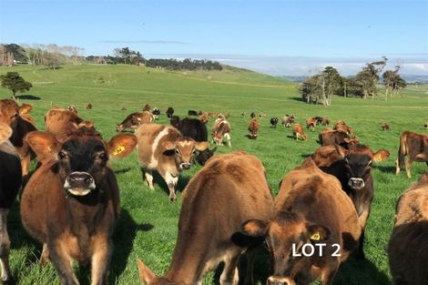 Photo of property in 182 Morrison Road, Arapohue, Dargaville, 0374