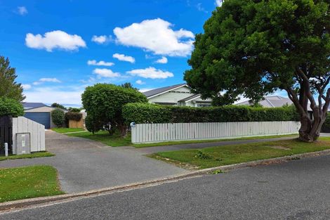 Photo of property in 133 Newcastle Street, Windsor, Invercargill, 9810