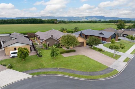 Photo of property in 13 Awanui Place, Matamata, 3400