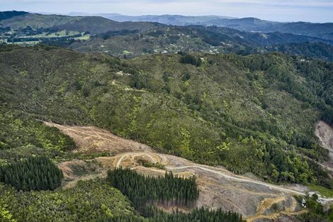 Photo of property in 12 Jane Mander Rise, Blue Mountains, 5371