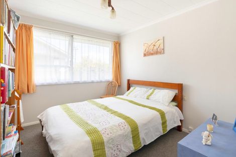 Photo of property in 17 Cornwall Street, Levin, 5510