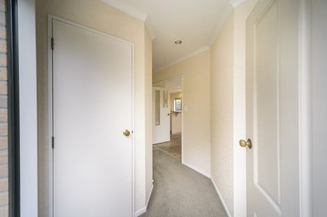 Photo of property in 161 College Street, Awapuni, Palmerston North, 4412