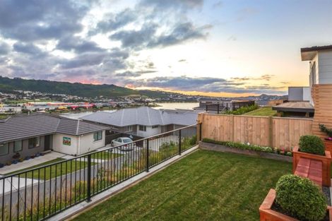 Photo of property in 84 John Burke Drive, Aotea, Porirua, 5024