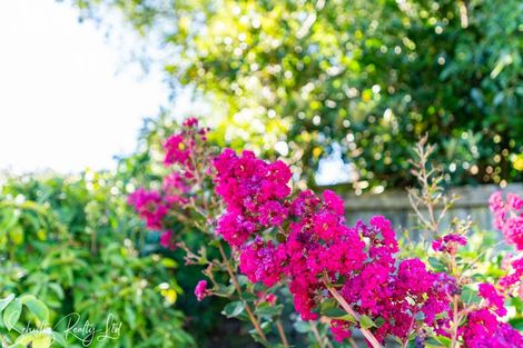 Photo of property in 15 Ash Grove, Maungaturoto, 0520