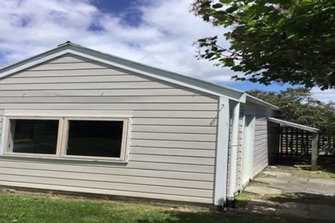 Photo of property in 17 Wilton Street, Levin, 5510