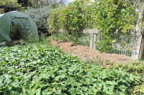 Photo of property in 225 Te Akau Road, Waingaro, Ngaruawahia, 3793