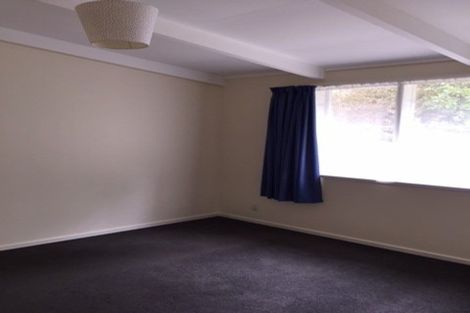 Photo of property in 28d Cornhill Street, North East Valley, Dunedin, 9010