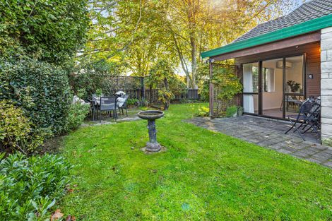 Photo of property in 6b Sim Street, Matamata, 3400