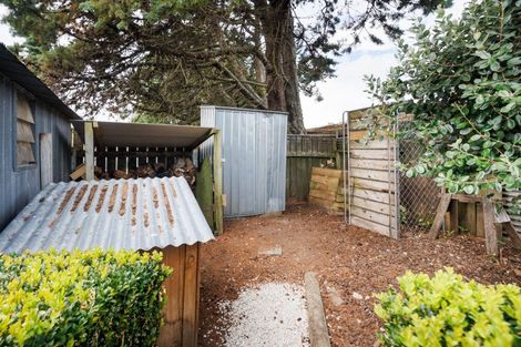 Photo of property in 20 Wills Crescent, Ashhurst, 4810