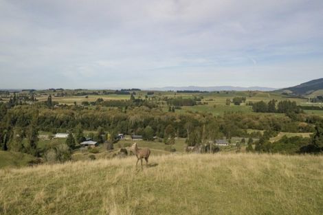 Photo of property in 548 Pleasant Valley Road, Geraldine Downs, Geraldine, 7991