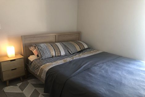 Photo of property in Dual Apartments, 301/142 Vivian Street, Te Aro, Wellington, 6011