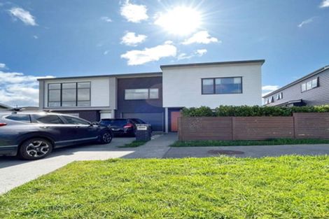 Photo of property in 55 Andrew Jack Road, Silverdale, 0932