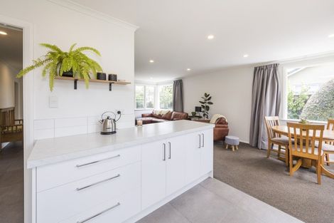 Photo of property in 53 Guy Avenue, Takaro, Palmerston North, 4410