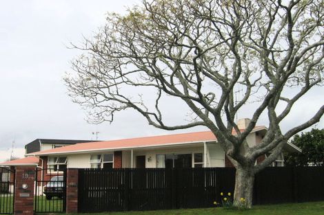 Photo of property in 19 Woods Avenue, Matua, Tauranga, 3110