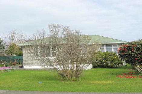 Photo of property in 3 Read Street, Levin, 5510