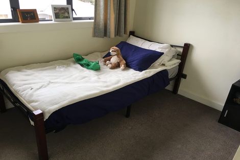 Photo of property in 42a Knighton Road, Hillcrest, Hamilton, 3216