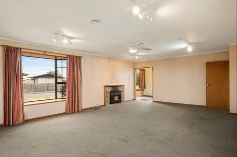 Photo of property in 138 Muller Road, Blenheim, 7201