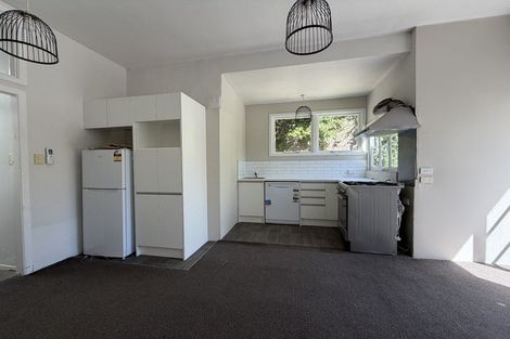 Photo of property in 29 Durham Street, Aro Valley, Wellington, 6021
