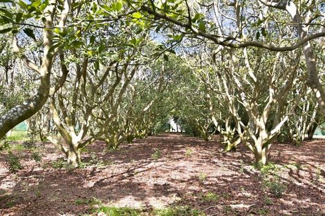 Photo of property in 961 State Highway 3, Onaero, Waitara, 4383