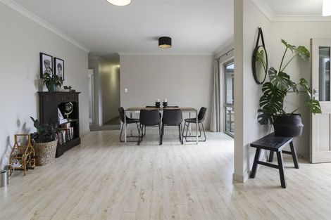 Photo of property in 121 Solomon Street, Brookfield, Tauranga, 3110