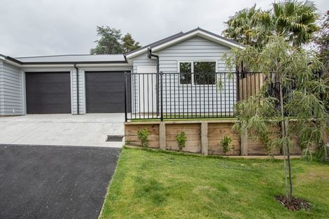 Photo of property in 1/16 Rothwell Street, Dinsdale, Hamilton, 3204