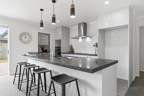 Photo of property in 221 Te Okuroa Drive, Papamoa, 3118