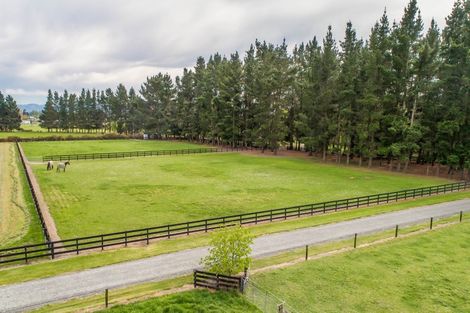 Photo of property in 344 Lineside Road, Flaxton, Kaiapoi, 7691