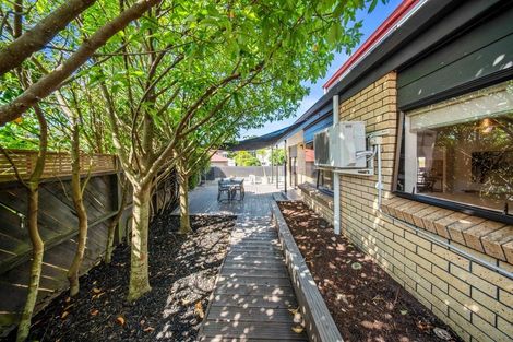 Photo of property in 14a Berwick Place, Mount Maunganui, 3116