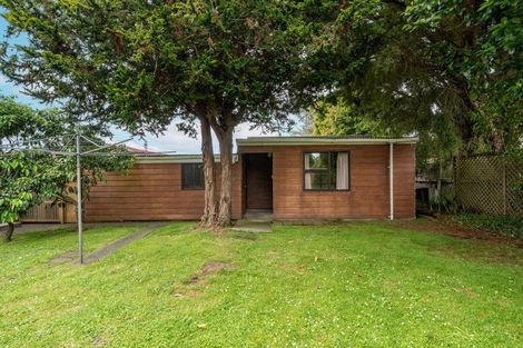 Photo of property in 145 Galloway Street, Hamilton East, Hamilton, 3216