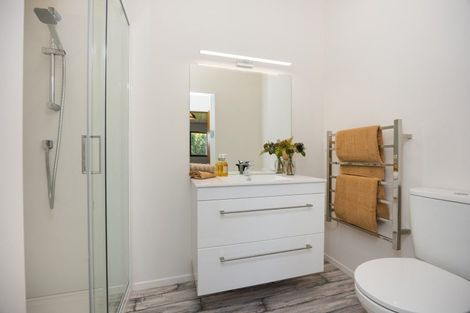Photo of property in 12 Trewin Street, Feilding, 4702