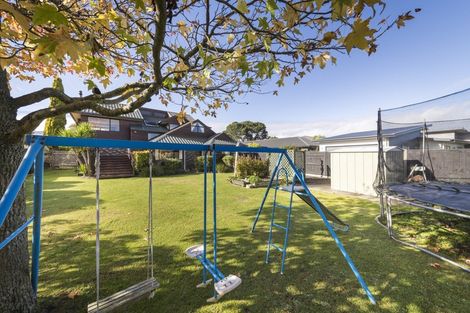 Photo of property in 221 The Terrace, Ashhurst, 4810