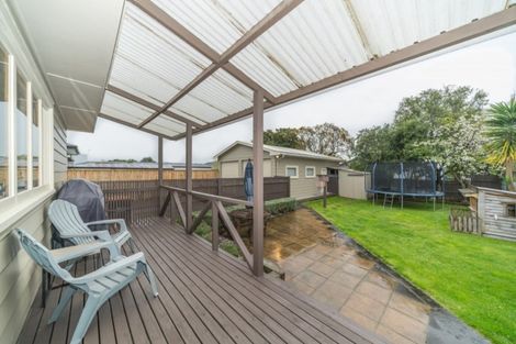 Photo of property in 30 Guy Avenue, Takaro, Palmerston North, 4410