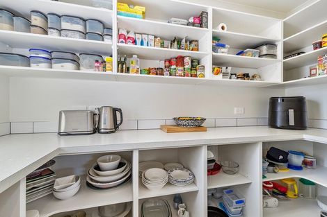 Photo of property in 46 Helen June Avenue, Flagstaff, Hamilton, 3210