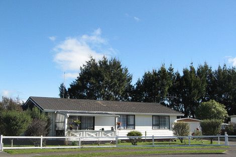 Photo of property in 26 Holt Place, Waipukurau, 4200