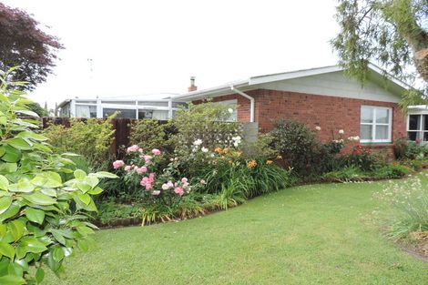 Photo of property in 12 Rata Street, Matamata, 3400