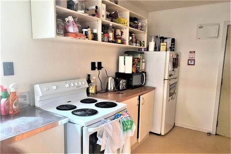 Photo of property in Drummond Street Flats, 26/19 Drummond Street, Mount Cook, Wellington, 6021