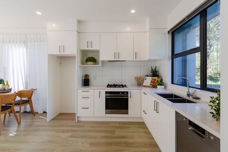 Photo of property in 14 Ti Kouka Lane, Sandringham, Auckland, 1025