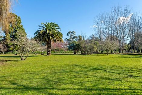 Photo of property in 125 Somerton Road, Makauri, Gisborne, 4071