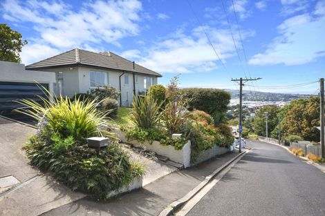 Photo of property in 19 Appold Street, Maryhill, Dunedin, 9011