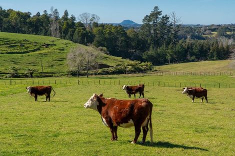 Photo of property in 353 Lockington Road, Aongatete, Katikati, 3181