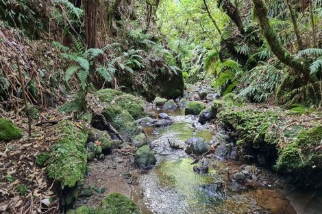 Photo of property in 141 Kaitawa Road, Hautere, Otaki, 5582