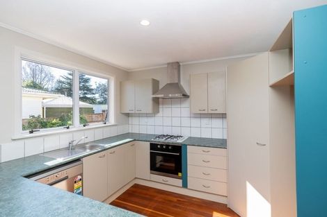 Photo of property in 100 Lewis Street, Glenview, Hamilton, 3206