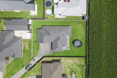 Photo of property in 11 Birchwood Lane, Matamata, 3400