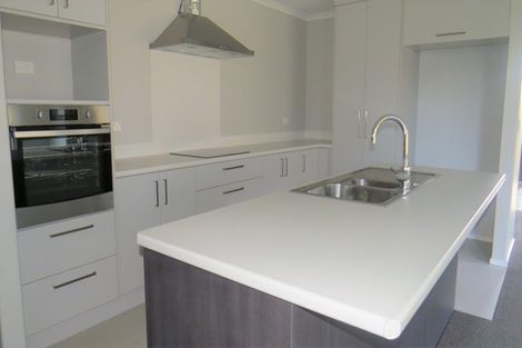 Photo of property in 245 Dixon Road, Fitzroy, Hamilton, 3206