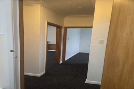 Photo of property in 195 Nikau Street, Saint Leonards, Hastings, 4120