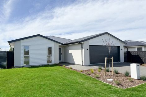 Photo of property in 14 Longfields Road, Lincoln, 7608