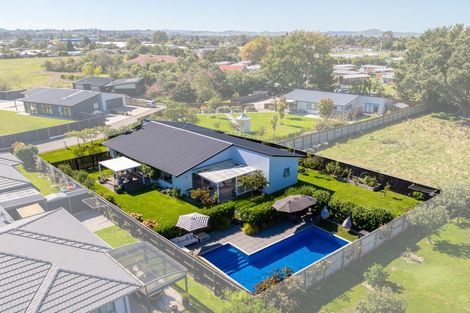 Photo of property in 20 Whatman Avenue, Masterton, 5810